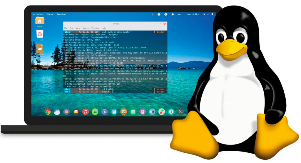 Linux Commands for Seamless Operations